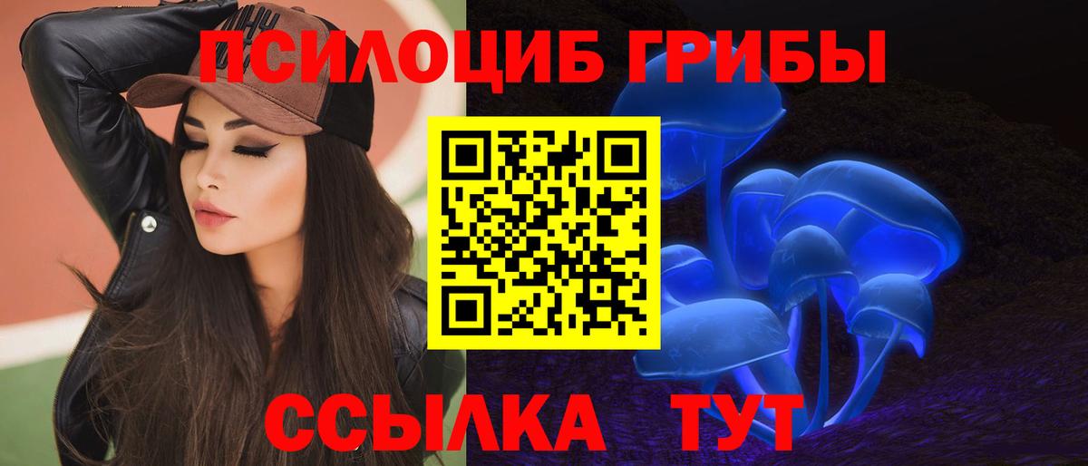 Мурино  Галлюциногенные грибы прущие грибы  Вход с VPN 
